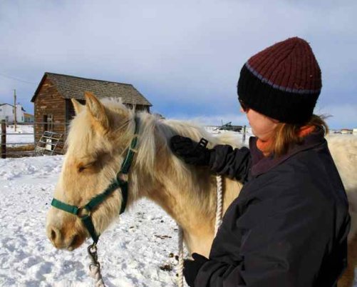 Horse Grooming Supplies, What would your horse choose?