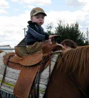 Western Saddle on Horse